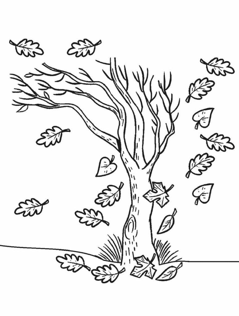 Trees coloring pages printable coloring pages for kids