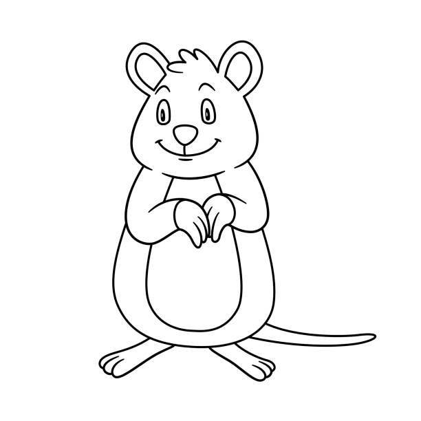 Coloring book quokka stock illustrations royalty