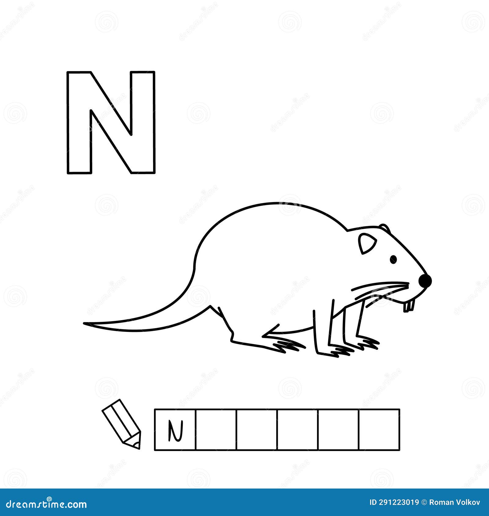 Nutria coloring stock illustrations â nutria coloring stock illustrations vectors clipart