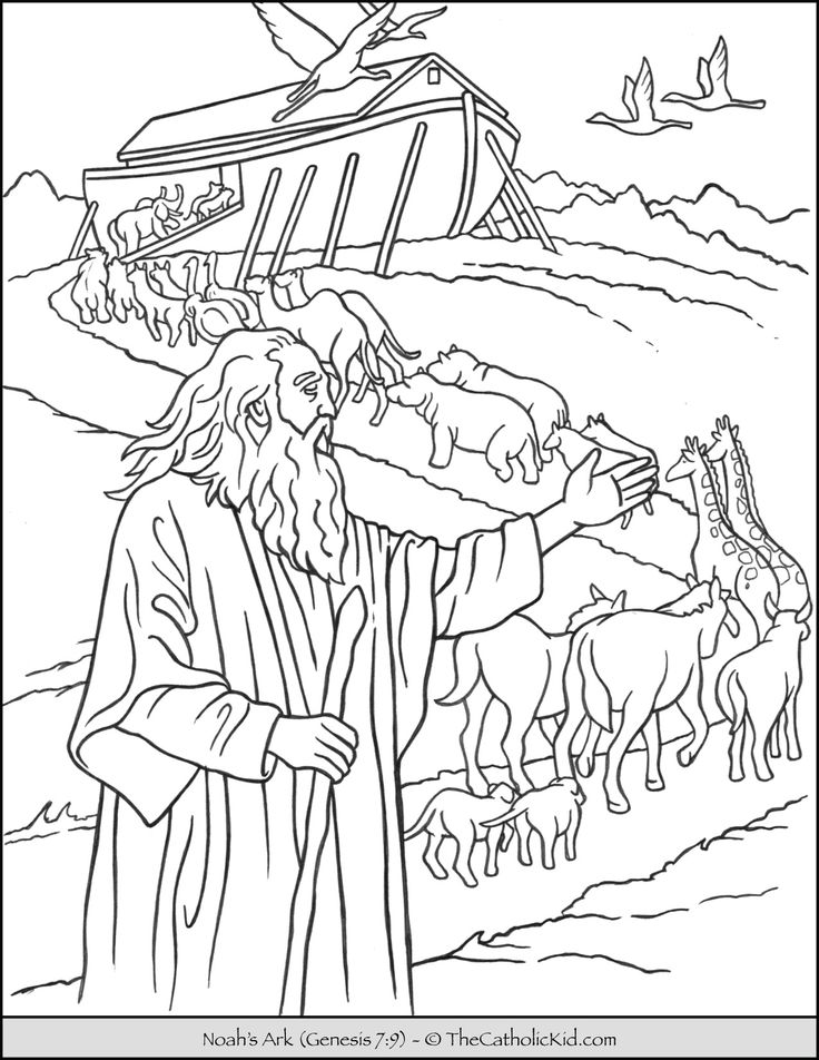 Noahs ark
