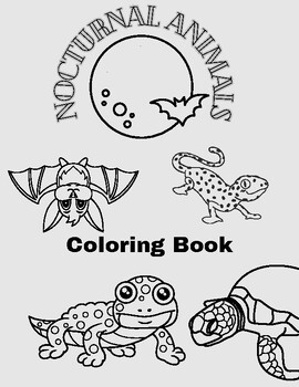 Nocturnal animals coloring book by the sisters art tpt