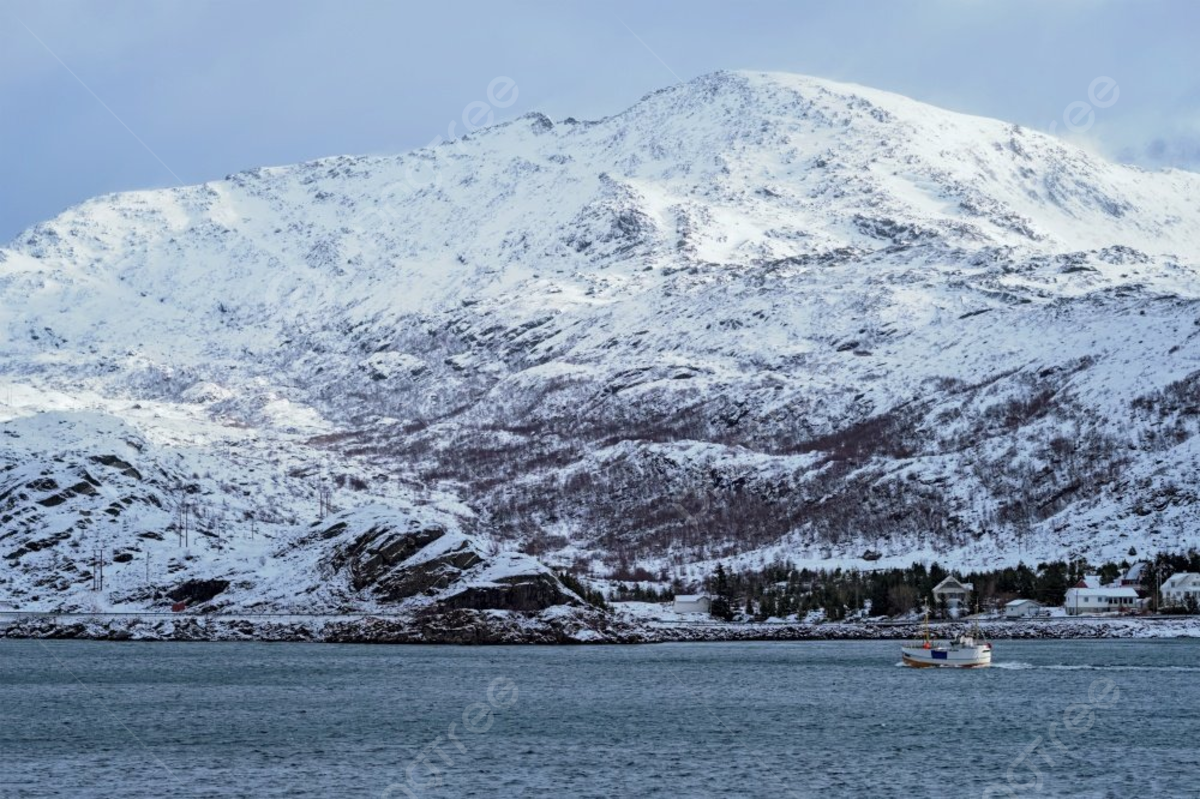 Fishing ship boat in norwegian fjord lofoten islands photo background and picture for free download