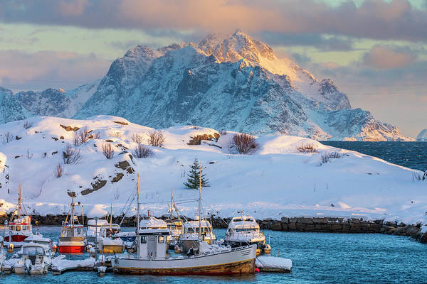 Norway nordland lofoten islands vestvagoy stamsund harbor art print by sebastian wasek