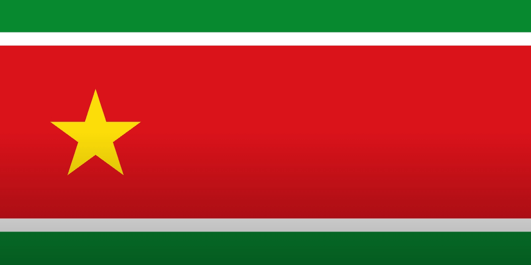Flag of suriname but in the styles of north korea rvexillologycirclejerk