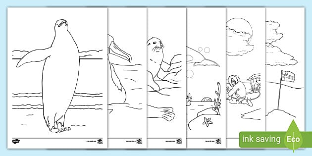 Antarctica louring pages teacher made