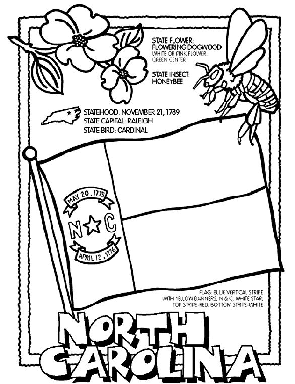 Colorful north carolina state flag coloring page