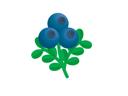 Emoji aurora borealis