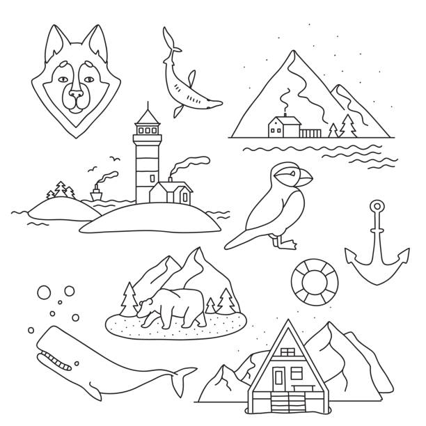 Puffin norway stock illustrations royalty