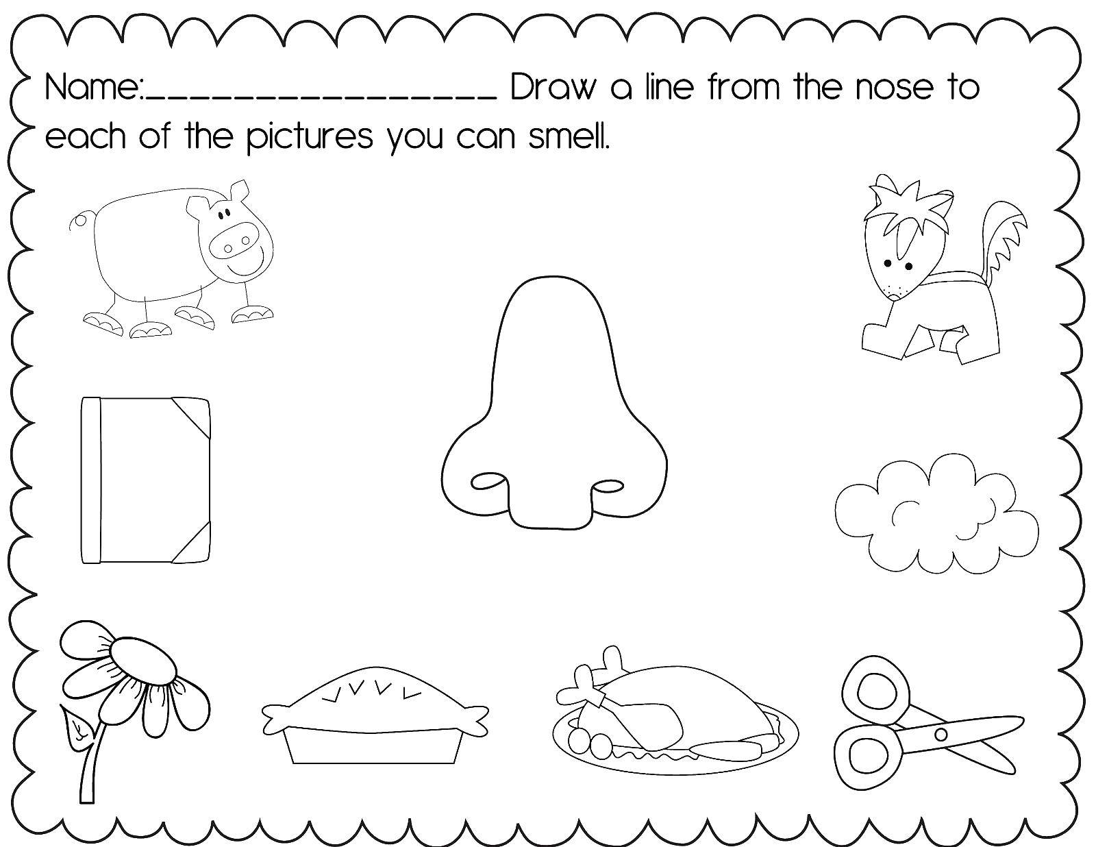 Online coloring pages coloring connect the lines from the nose to the things that you can smell coloring