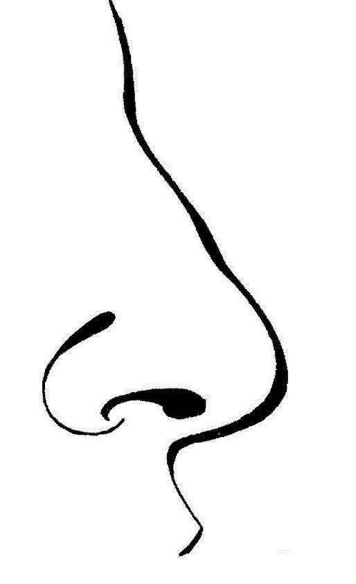 Nose clipart fans human body coloring pages clipart black and white