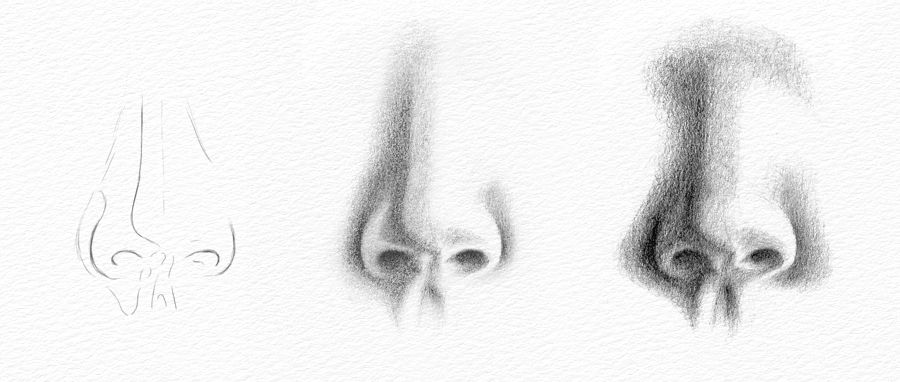 Pencil portrait drawing