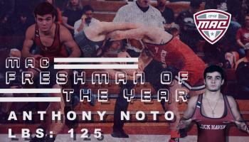 Noto bees state champ in wrestling â mendon honeoye falls lima sentinel