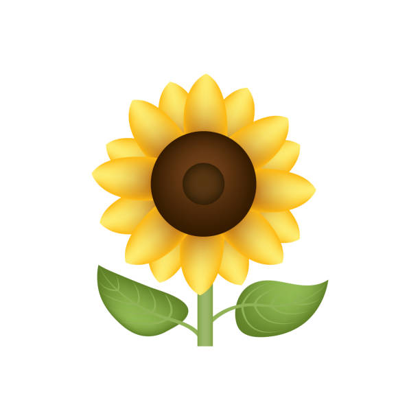 Sunflower emoticons stock illustrations royalty