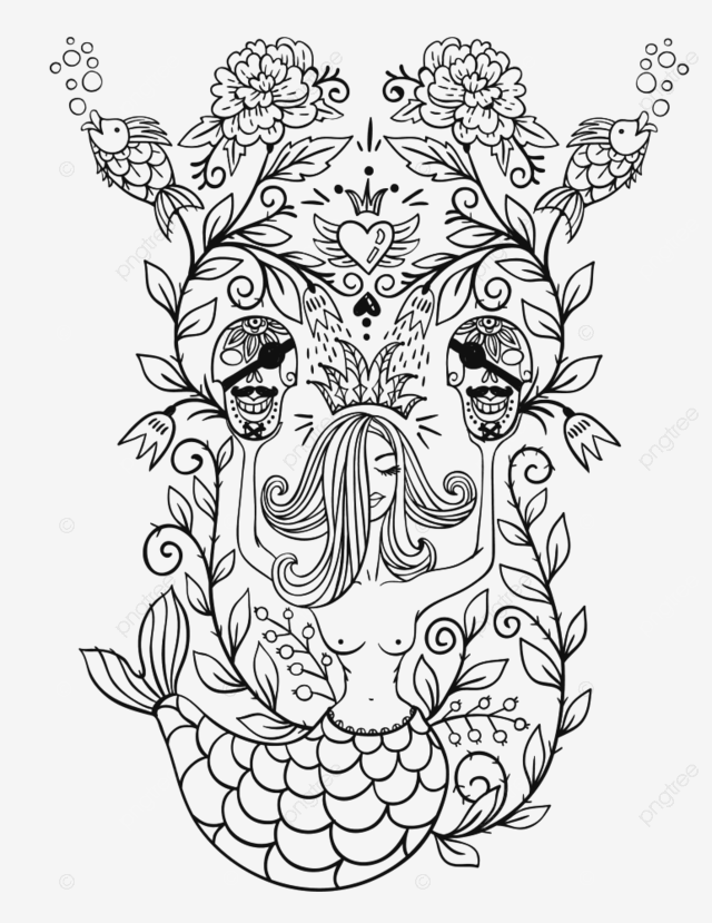 Mermaid pirate vector png images vintage vector illustration of a naked mermaid and pirate skulls vintage drawing naked drawing mermaid drawing png image for free download