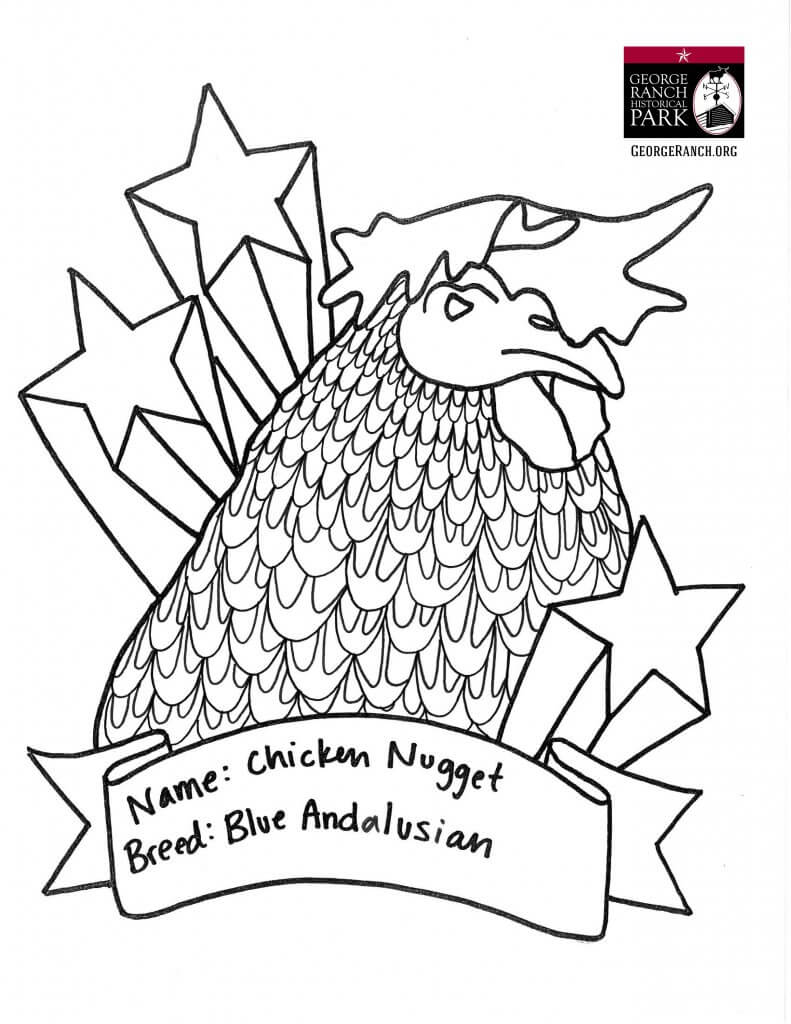 Poultry profile meet chicken nugget