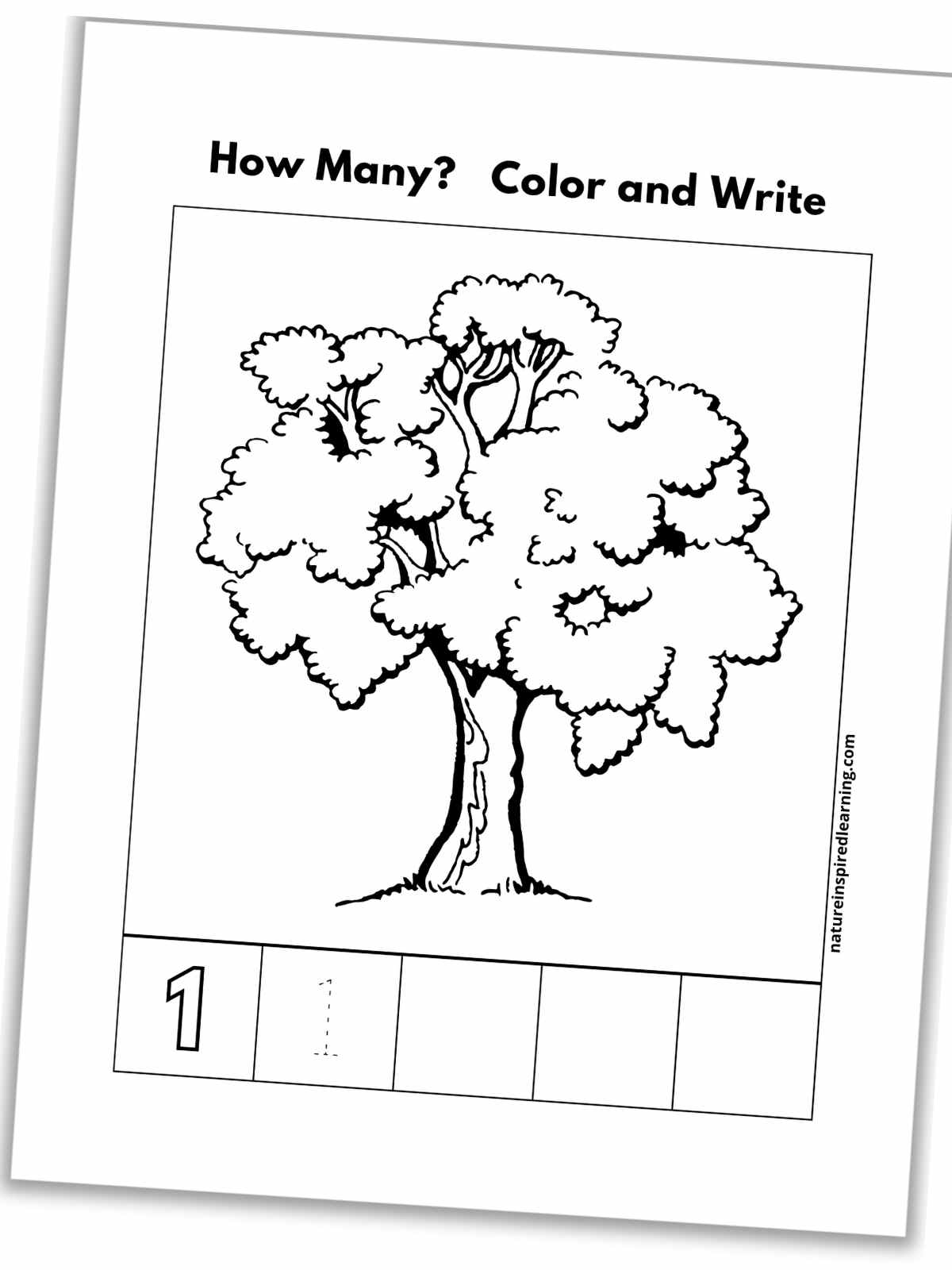 Number recognition worksheets