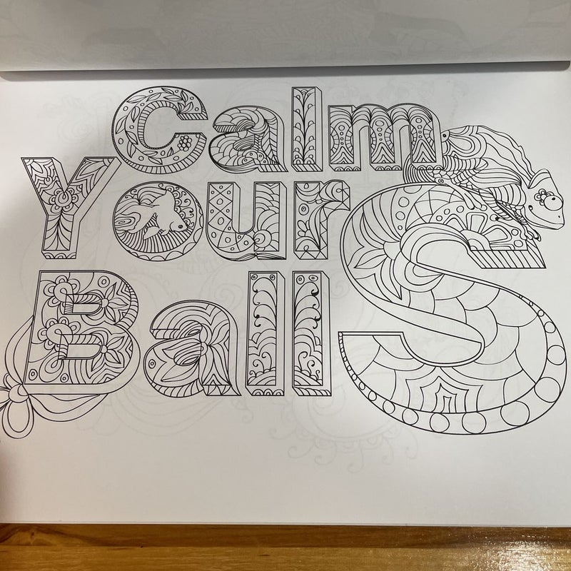 Adult coloring book w markers in carrying case by coloring book paperback