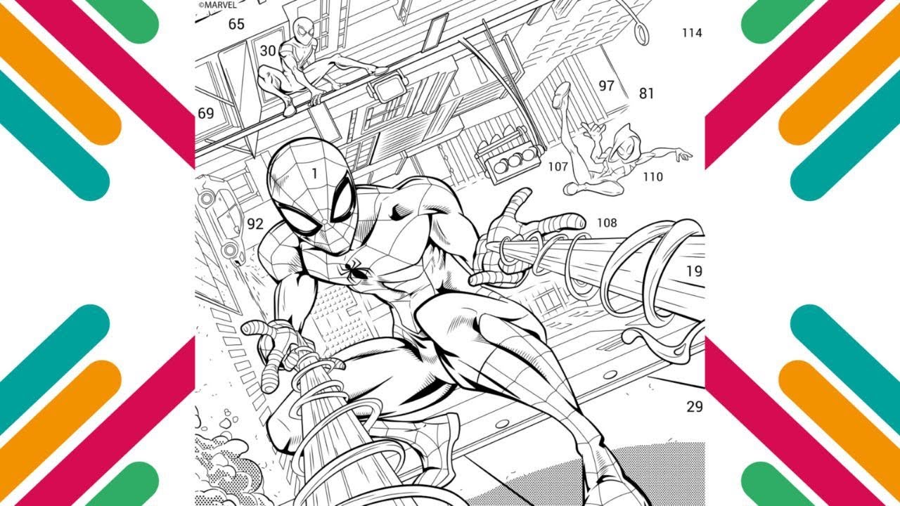 Spider