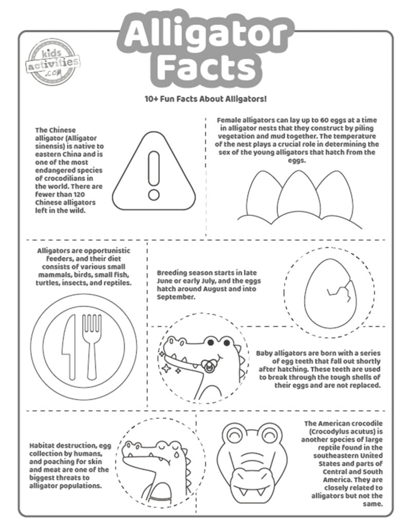 Fun alligator facts coloring pages kids activities blog