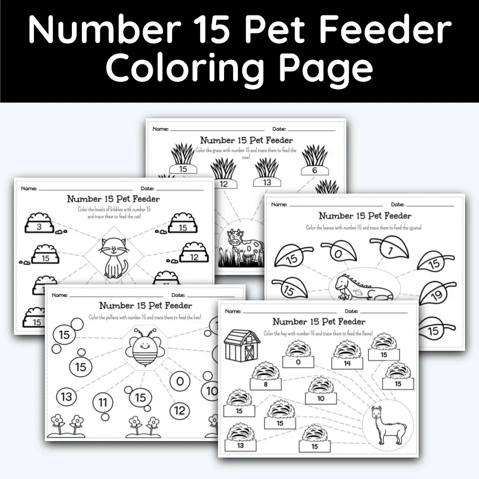 Number pet feeder coloring page