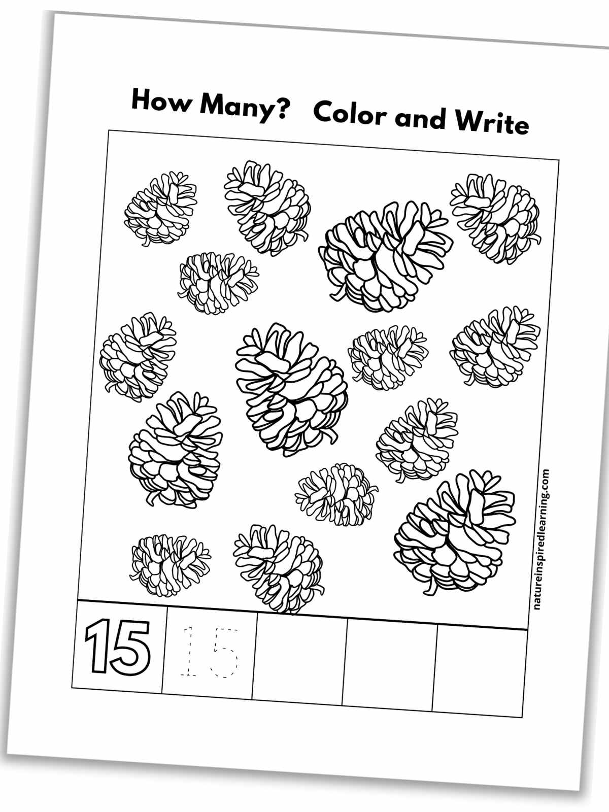 Number recognition worksheets