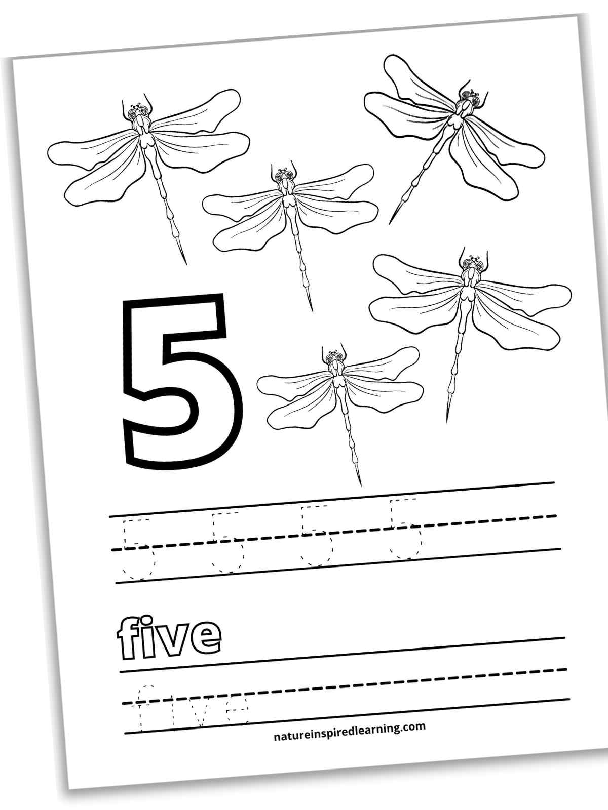 Numbers from
