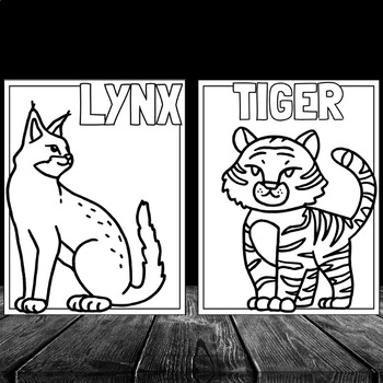Carnivore animal labels printable coloring pages forest jungle coloring book