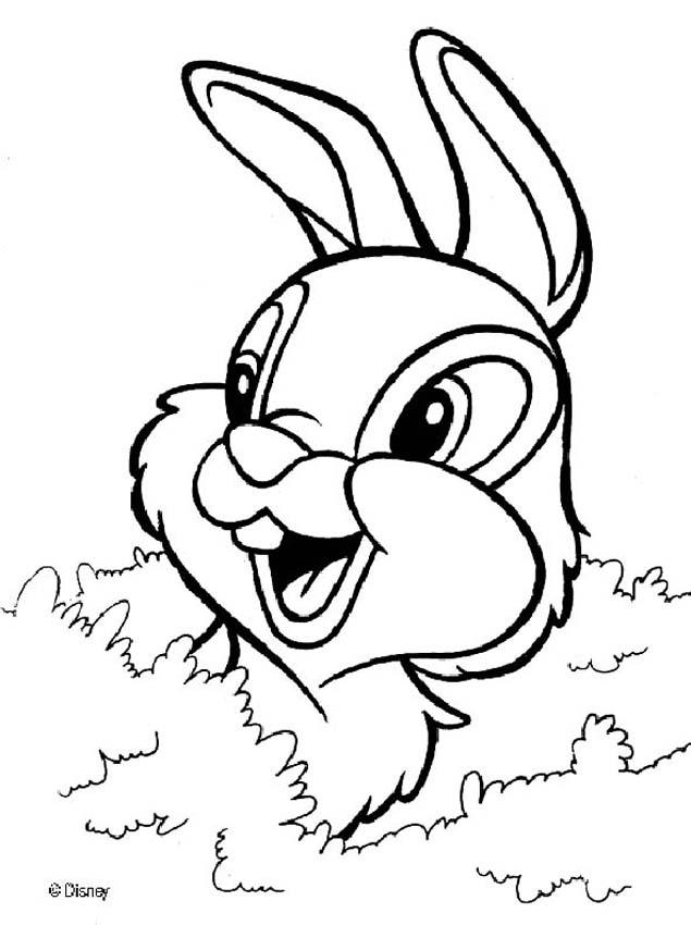 Thumper coloring pages