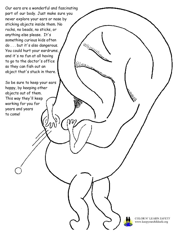 Ear