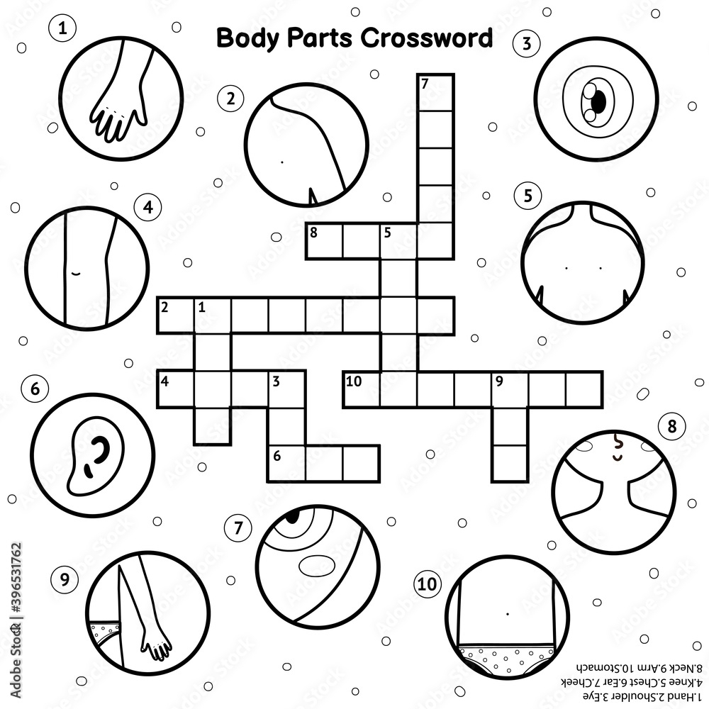 Black and white body parts crossword my body learning activity and coloring page vector