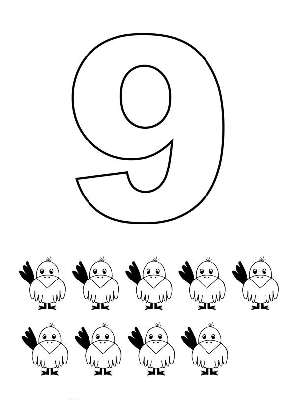 Numero figuras pãginas para colorir escola atividades matematica educaãão infantil texto para leitura infantil
