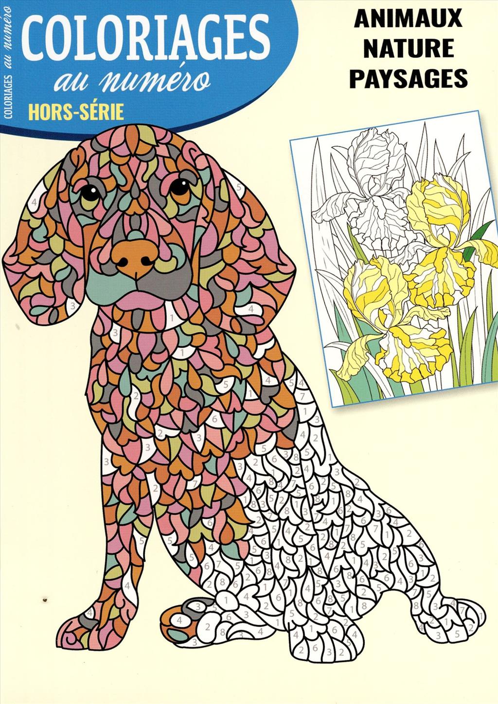 Catalogue produits coloriages au numero hs