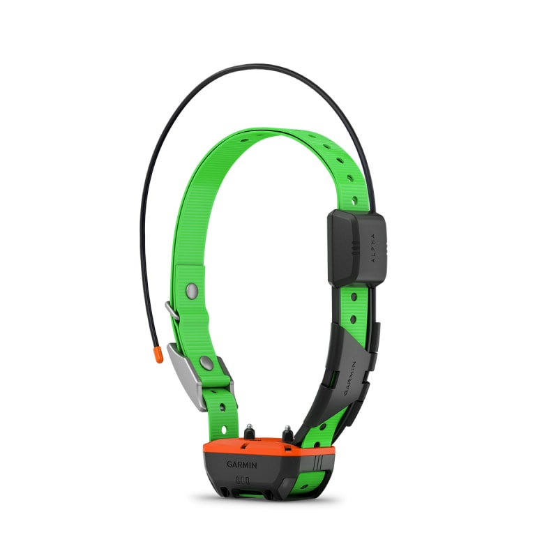 Alpha tt dog collar sporting dog tracking collar