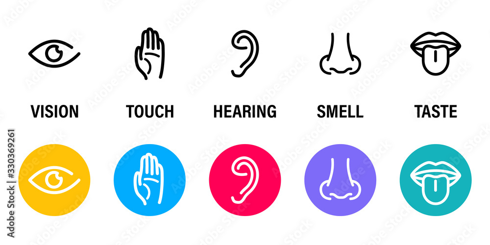 Vecteur five human senses hearing sight smell taste and touch simple line icons and color circles eye nose ear mouth with tongue hand human perception scheme five senses basic human