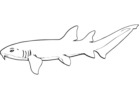 Nurse shark coloring page free printable coloring pages