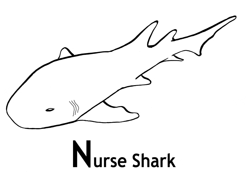 Nurse shark coloring page