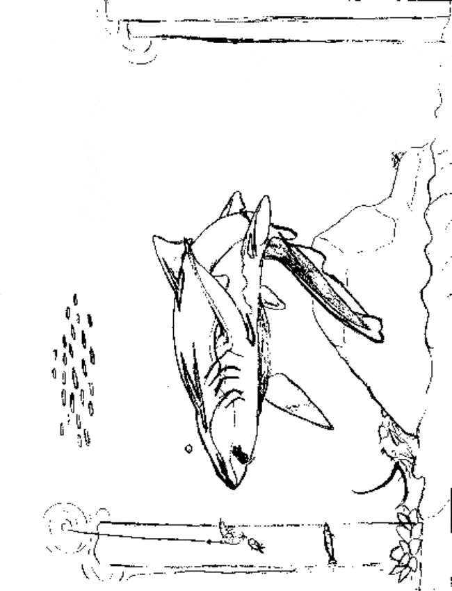 Nurse shark coloring page