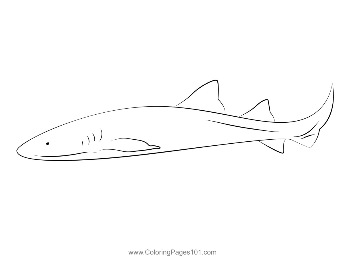 Nurseshark slide coloring page shark coloring pages coloring pages color