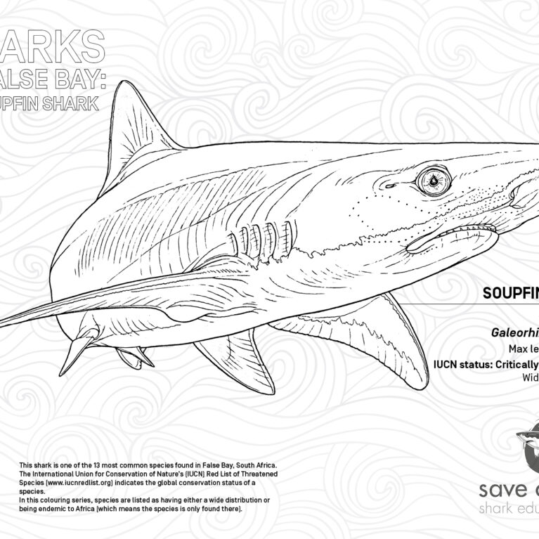 Colouring sheets