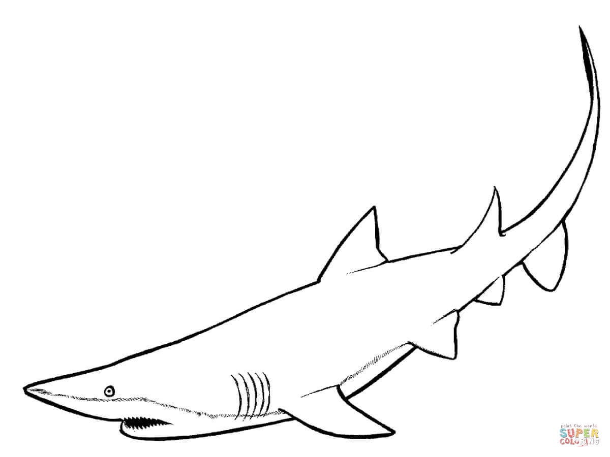 Nurse shark coloring page free printable coloring pages
