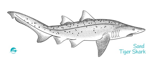 Cartoon nurse shark royalty