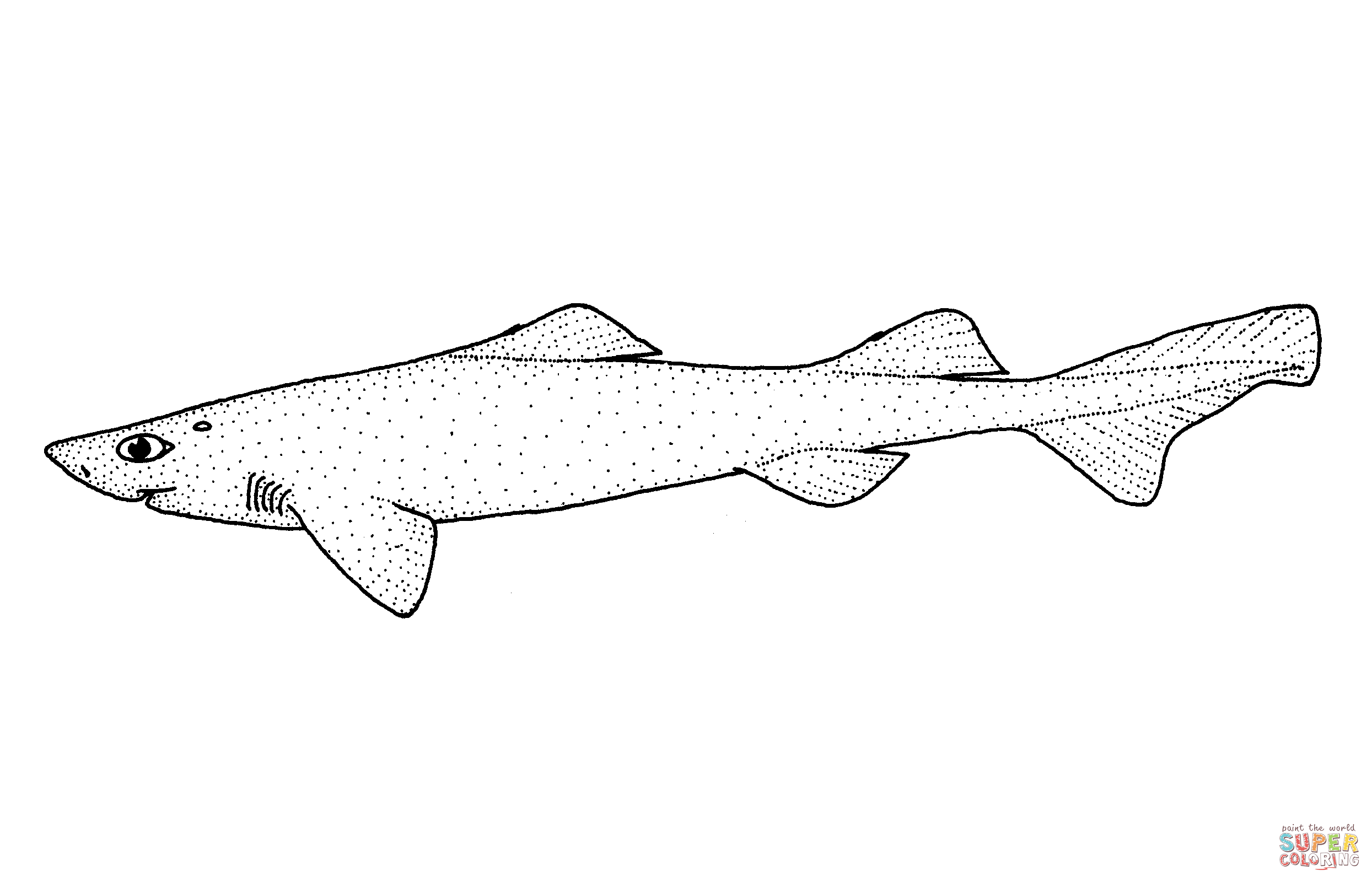 Centroscymnus plunketi plunket shark coloring page free printable coloring pages