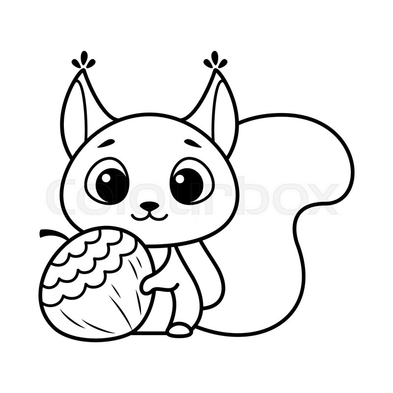 Squirrel with nuts coloring page cartoon vector illustration stock vector
