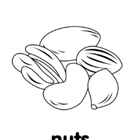 Elephant coloring page