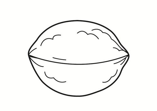 Coloring page nut disegni da colorare colori disegni