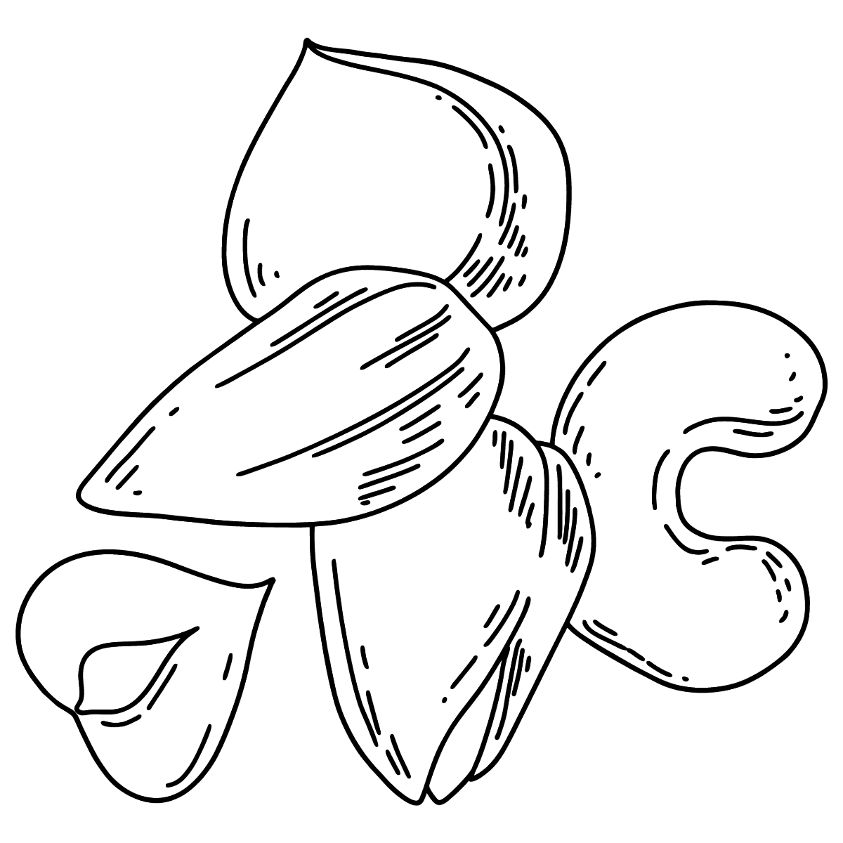 Nuts coloring page for kids â online or printable for free