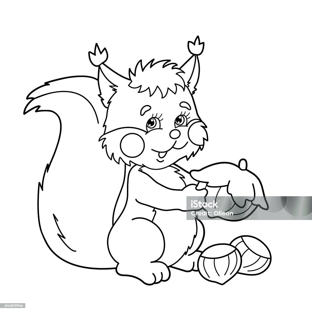 Coloring page outline of squirrel with nuts for kids stock illustration