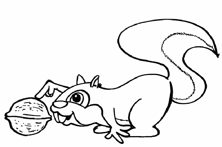 Nuts coloring pages