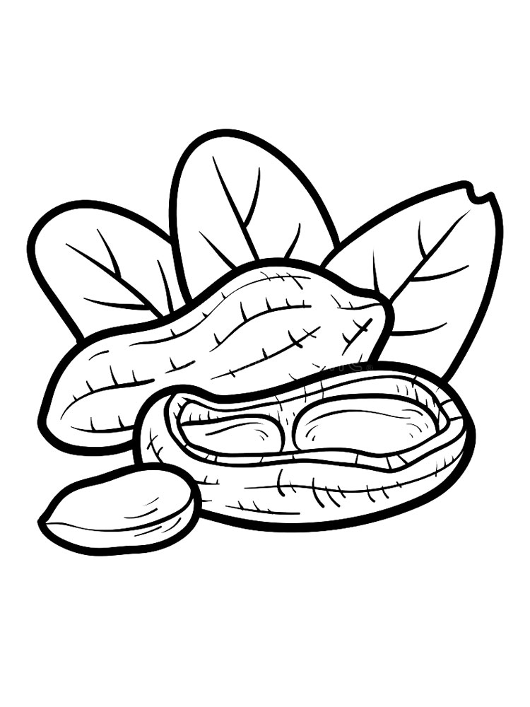 Nuts coloring pages