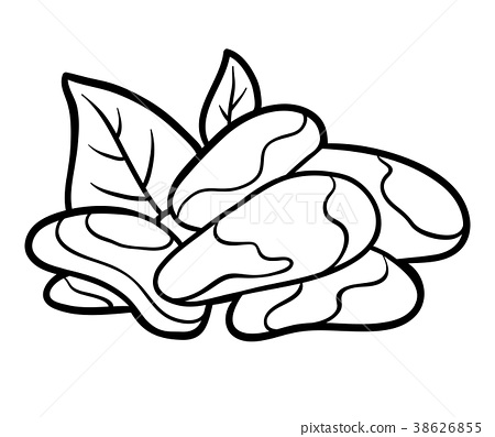 Coloring book brazil nut